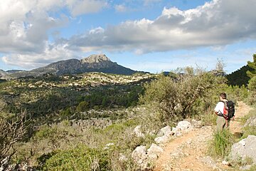 Galilea, Mallorca