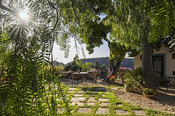 A patio with a table and chairs under a tree