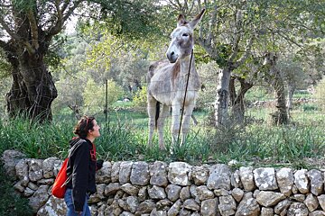 A walk along the riverbank in Ses Fonts Ufanes
