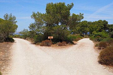 a fork in a walking trail in mallorca